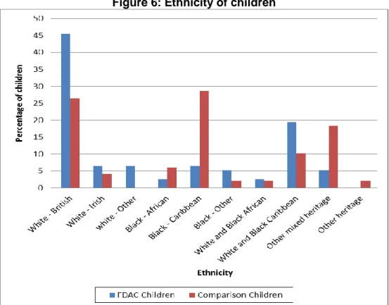 Figure 6: Ethnicity of children