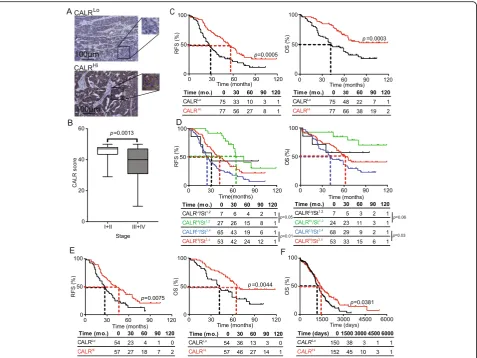 Fig. 1 Prognostic impact of CALR expression in the primary TME of HGSC patients. a Representative images of CALR immunostaining in CALRLoand CALRHi patients