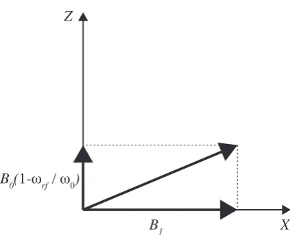 Figure 2.1: The magnetic ﬁelds present in the rotating frame of reference (at ωFigure adapted from ref
