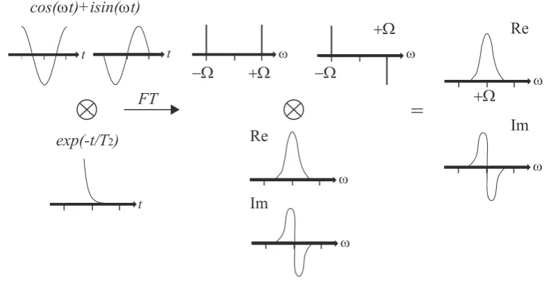 Figure 2.2: The eﬀect of multiplying the signal (cos(ωtfunction(Re) and dispersive (Im)