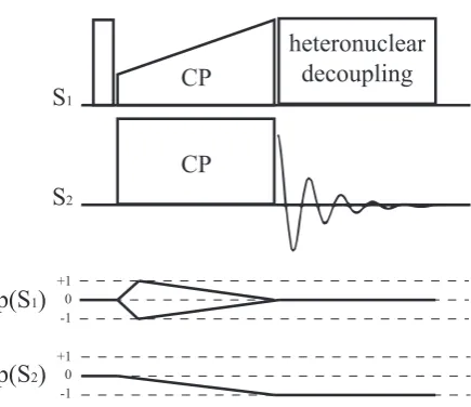 Figure 2.8: Pulse sequence and coherence transfer pathway diagram for a crosspolarization (CP) experiment