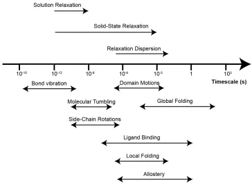 Figure 1.8. Examples of time scales of dynamic processes in proteins and relaxation measurements toobtain information on them.