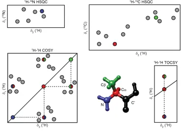 Figure 1.9. Schematic drawing of 2D assignment spectra used in solution NMR. Peaks resulting fromalanine are highlighted in the figure.