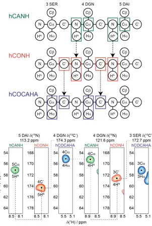 Figure 1.11. Example strips from assignment spectra of [U-13C,15N]teixobactin in a sedimentedcomplex with natural abundance lipid II in deuterated DPC micelles