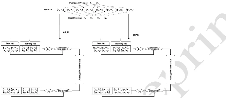 Fig. 2. Evaluation methodologies for host-pathogen protein interactions (HPIs) predictors