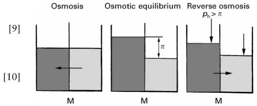 Figure 2The principles of osmosis and reverse osmosis. M,membrane; ph, outer pressure; �, osmotic pressure difference., Aqueous salt solutions;, water.