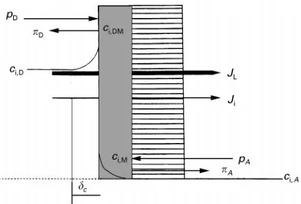 Figure 4Reverse osmosis with concentration polarization onpthe acceptor solution;solute concentration on the membrane; cthe asymmetric separation membrane