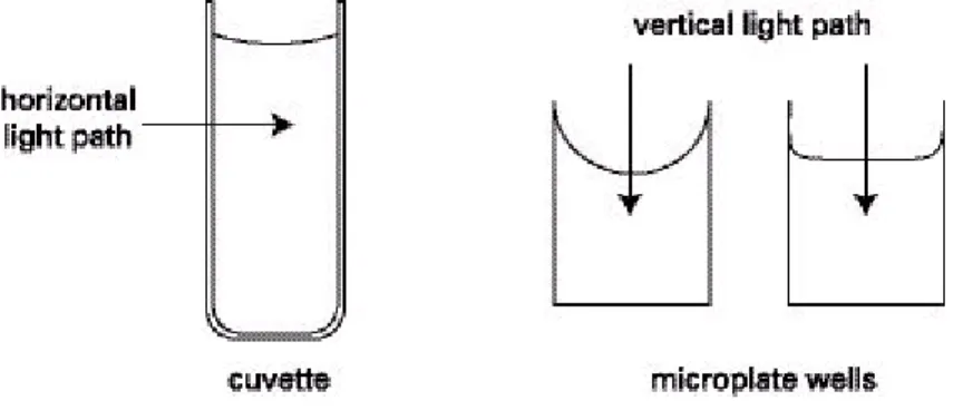 Figure 4.1: Cuvette and Microwell light paths.