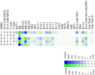 Fig 5. Redundancy map for the hERG potassium channel. Heat map of the null space matrix in echelonform with hERG as a leading variable, showing which linear combinations of other channels can compensatefor shifts in BK density