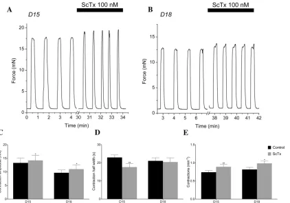 Fig 15. Kv2.1 contribution to spontaneous contractile activity. (A, B) Representative isometric force recordings in the presence of 100 nM ScTx in D15(A) and D18 (B)