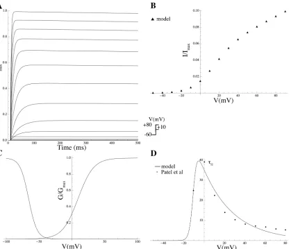 Fig 20. Properties of IKv6.1. (A) Normalised IKv6.1 current trace in simulated voltage-clamp experiments