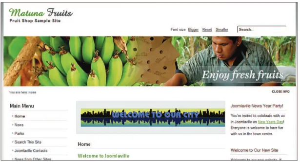 Figure 10.9 The Beez5 template on your site