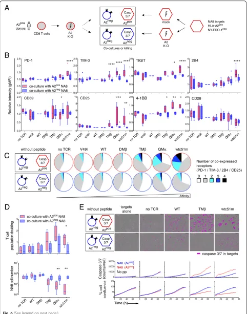 Fig. 6 (See legend on next page.)