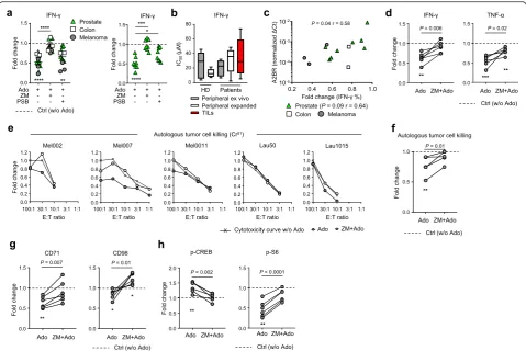 Fig. 4 Ado impairs TIL effector functions and autologous tumor cell recognition. a Cumulative data of the fold change in CD8+ TIL IFN-γproduction in the presence of the indicated combinations of Ado, A2AR agonist (CGS 21680) and A2AR/A2BR antagonists (ZM 2