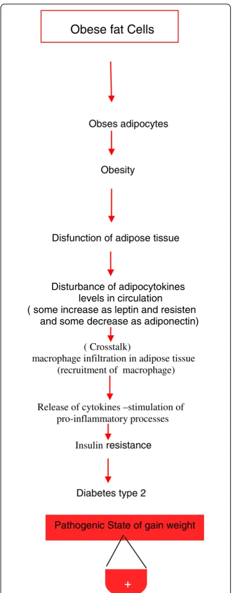 Figure 3 Roles of adipose tissues and adipocytokines duringobesity progression and initiation of inflammation.