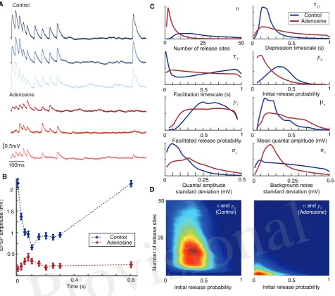 Figure 3. Bayesian inference captures the shift in synaptic dynamics under application of adenosine
