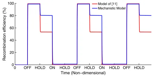 Fig. 6. RAD module in vivoour mechanistic model. Both models simulate 2.5 repeated OFF-HOLD-ON-HOLD operative cycles