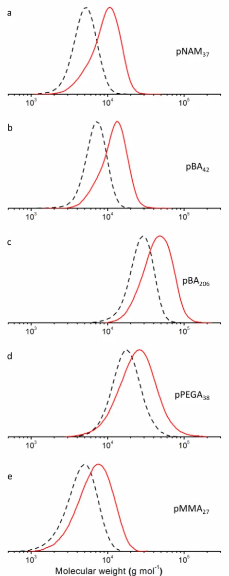 Figure 4. Normalized SEC traces of the initial precursors (dashed line) and the homocoupling (solid 
