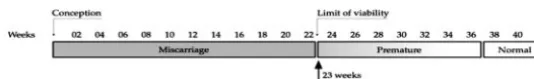 FIGURE 1Web page presenting positively framed vignette.