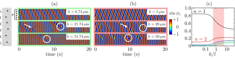 Figure 2(a)is set by the frequency bias. With increasingdrift in the cumulative phase difference between rotors at opposite ends of the chain