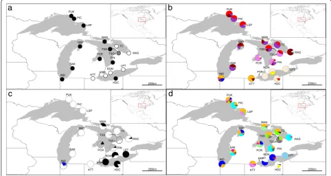 Fig. 1 Maps of the distribution ofArabidopsis lyrata(grey); all other haplotypes for which no major effect mutation was detected (white) andthe 29 haplotypes found for WRR4 and RPM1 haplotypes in A
