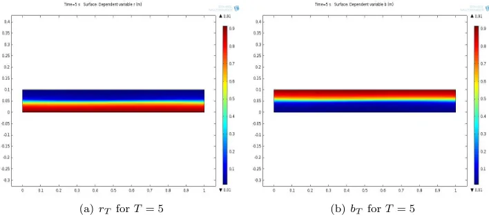 Fig. 2. Example I: Red particle density returning to the constant stationary state after initial  perturbation