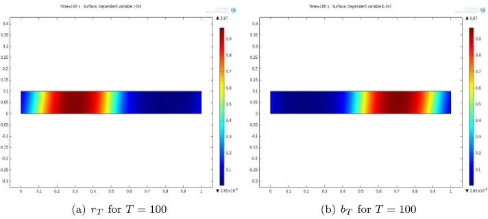 Fig. 5. Example II: Red and blue particle density as well as their sum    ρ at time T = 100 inthe case of nonequal initial mass.