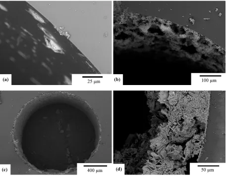 Figure 4. Powder X-ray diffraction pattern of the Pd/ZnO catalytic coating extracted from a millireactor