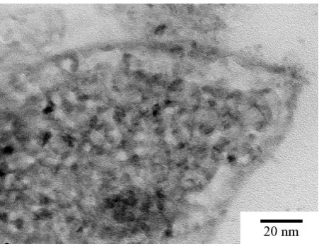 Figure 5. A representative TEM microphotograph of the Pd/ZnO coating removed from the r1.6-1.0 reactor
