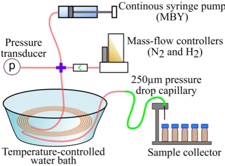 Figure 1. Scheme of the capillary reactor setup. 