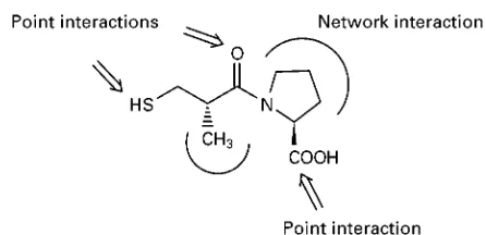Figure 3Schematic representation of interactions betweena chosen ligand (here captopril) and a molecularly imprintedmaterial