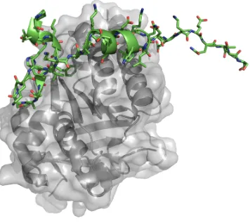 Figure 7.The protein–protein interface between RAD51 (grey) and the BRC4repeat [276].