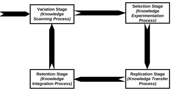 Figure 2: The evolution of knowledge (adapted from Zollo and Winter (2002)) 
