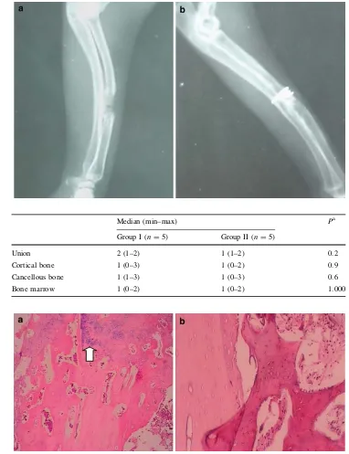 Fig. 4 Radiographs of forelimb