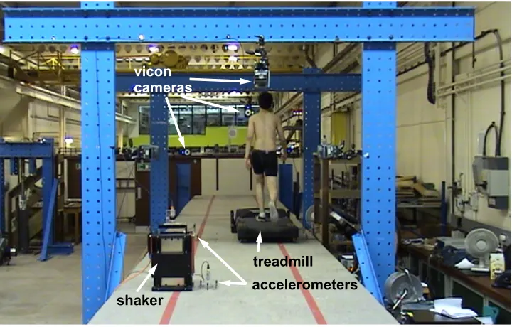 Fig. 4. Test setup in which an instrumented test subject and electrodynamic shaker excite the bridge simultaneously