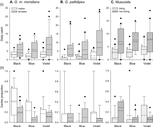 Fig 5. Catches of biting flies at new polyester and traditional cotton targets without odour lures