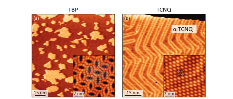 Fig. 2Scanning tunneling microscopy (STM) images of the assembly resulting from the co-deposition of TBP and TCNQ (assembly where a≈ 1 : 3 ratio) on theAu(111) substrate