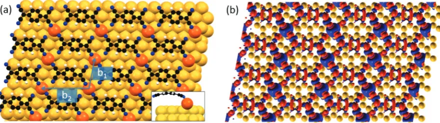 Fig. 6(a) Top view of the metal–organic structure formed by TCNQ molecules and Au adatoms on Au(111) calculated by DFT