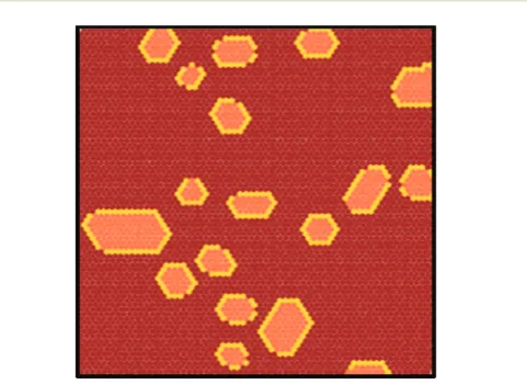 Fig. 7Equilibrium Monte Carlo simulation snapshot of the core–shellorganization emerging from the co-deposition of oppositely chargedTBP and TCNQ molecules