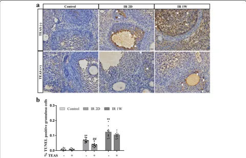 Fig. 7 The effect of TEAS on oxidative stress in ovaries of mice subjected to whole-body irradiation