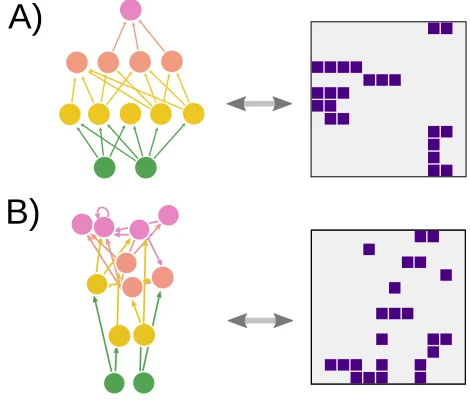 Figure 3. A: Network generated with the preferential preyingmodel (PPM) with S = 12, B = 2 and T = 0 (the verticalposition of each node reﬂects its trophic level) and its corre-sponding adjacency matrix, with rows and columns ordered tomaximize prey-interv