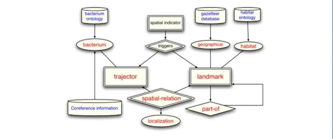 Figure 3 The output space when placing BB-localization in the SpRL framework. Double-line: the unknown elements relevant for our training/prediction model, Red: the output elements in the original BioNLP-task, Blue: external information that can be used, B