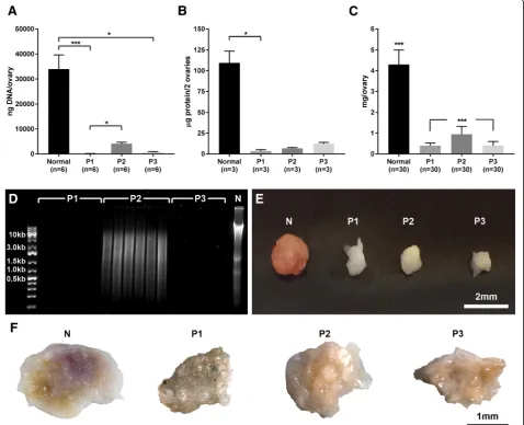 Fig. 2 Successful decellularization was confirmed by a significant reduction in DNA levels for all protocols (specimens per sample (a total of 6 ovaries per group were assessed in pooled pairs, resulted incomparison were conducted to evaluate significant d