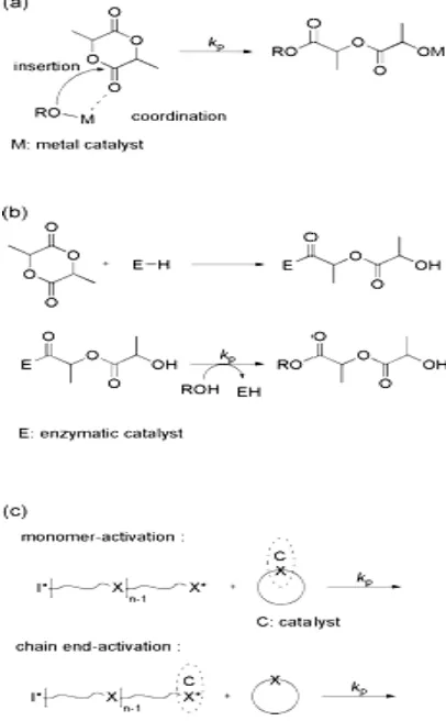 Fig. 4. Different mechanism for ROP processFig. 4. Different mechanism for ROP process 