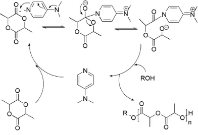Fig. 6. Phosphine catalysis mechanism                                         