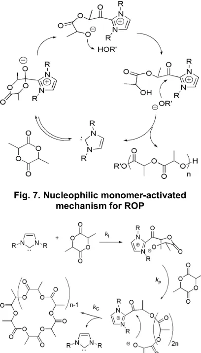 Fig. 7. Nucleophilic monomer-activated 