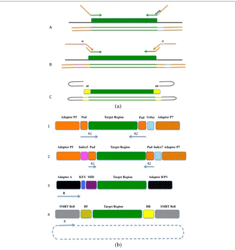 Fig. 1 Experimental design. (a) Design of single and dual-index sequencing strategy and schematic describing the 3 amplicon designs: FusionPrimer Design (A) is a one step PCR which uses a single 12-nt error-correcting Golay index sequence (blue) allowing a