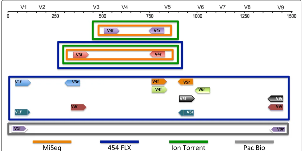 Table 2 Experimental conditions assessed in this study on IT, MS, 454 FLX + and PB sequencing platforms