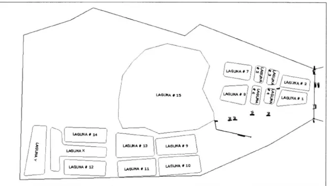 Figure 1: Current lagoon system at Lean. 
