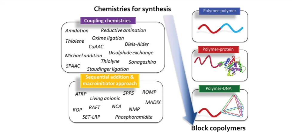 Fig. 3Chemistries for the synthesis of block copolymers. CuAAC, copper-catalyzed azideazideliving radical polymerization; NMP, nitroxide-mediated polymerization; NCA,polymerization; RAFT, reversible addition–alkyne cycloaddition; SPAAC, strain-promoted–alkyne cycloaddition; ATRP, atom-transfer radical polymerization; SPPS, solid phase peptide synthesis; ROMP, ring-opening metathesis–fragmentation chain-transfer; ROP, ring-opening polymerization; SET-LRP, single-electron transfer N-carboxyanhydride; MADIX, macromolecular design by theinterchange of xanthates.